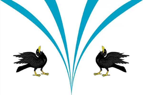 Флаг: Каргапольский муниципальный округ